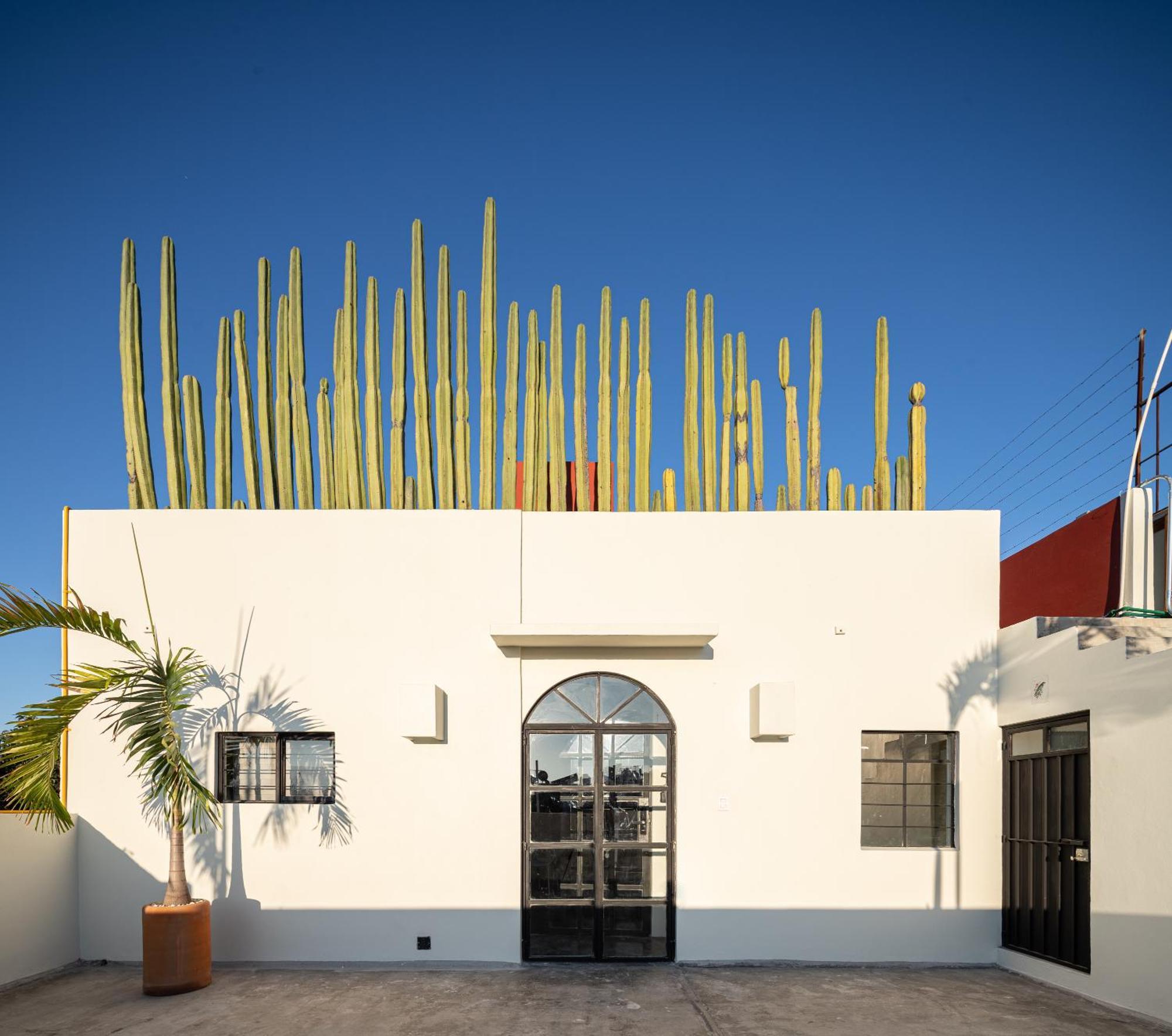 Casa Lumos - Minimalist Comfort Suites In Centro Historico Oaxaca Exterior foto