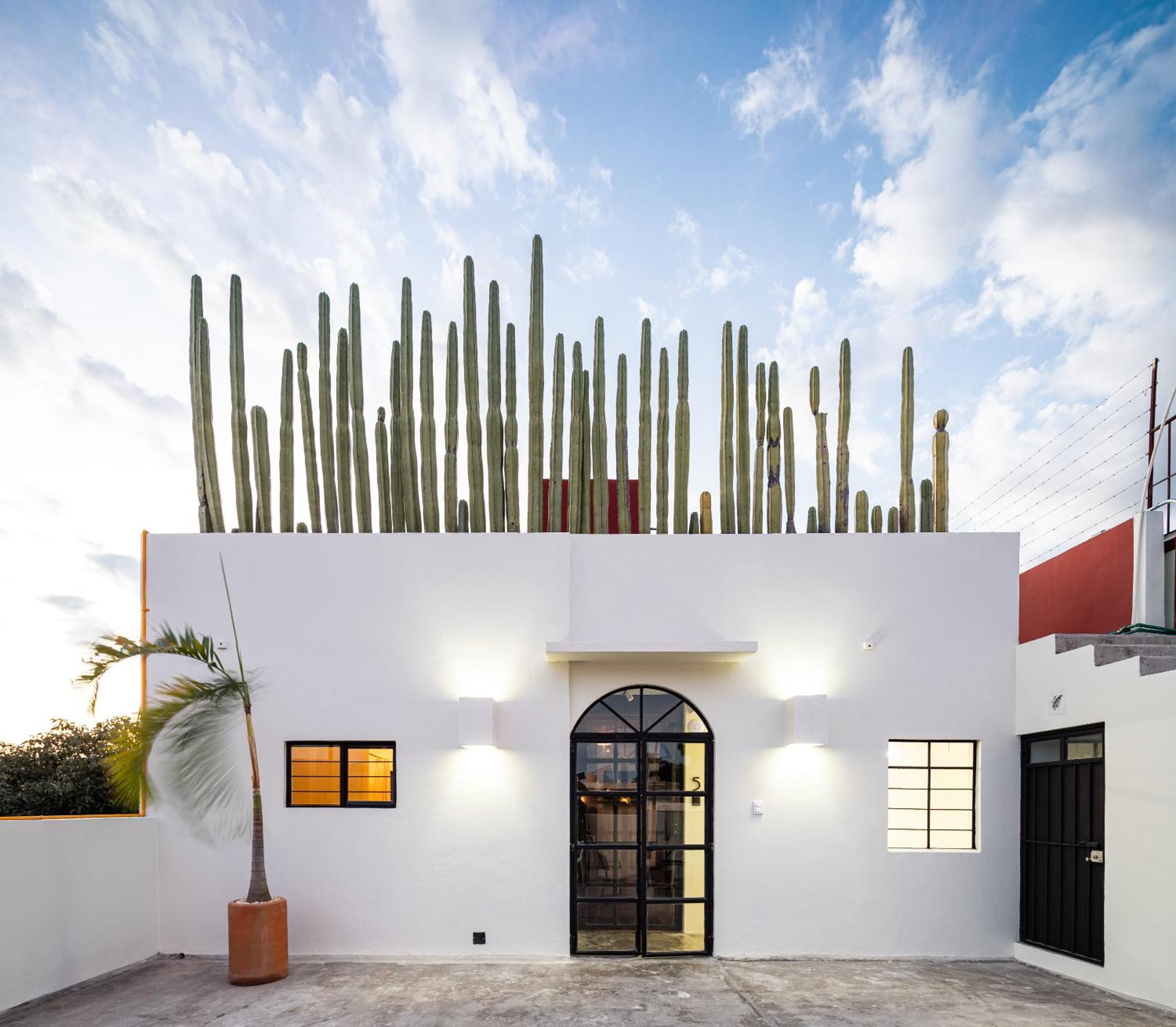 Casa Lumos - Minimalist Comfort Suites In Centro Historico Oaxaca Exterior foto
