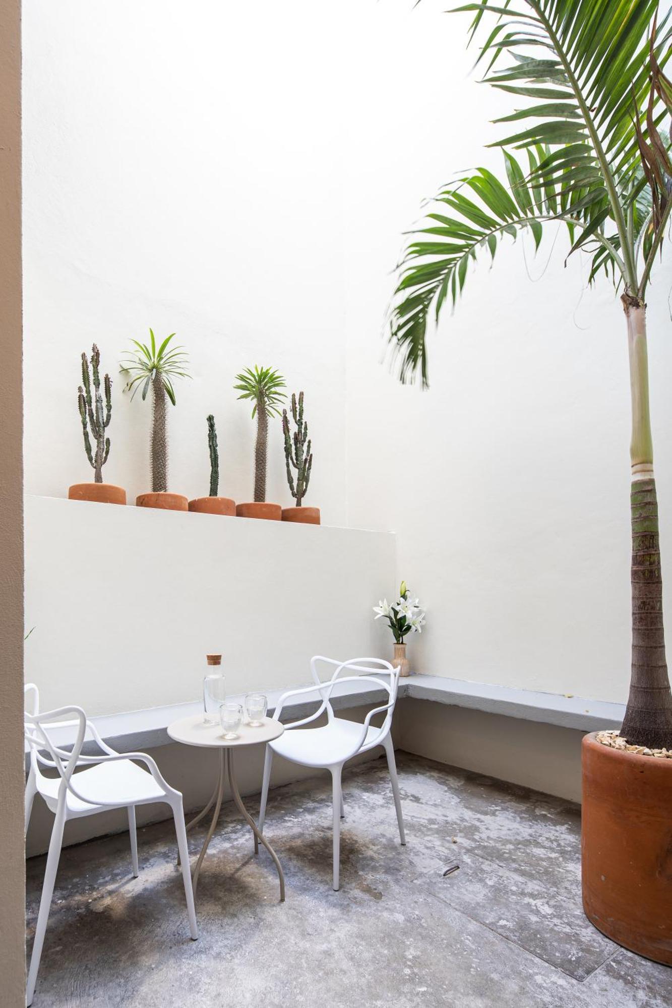 Casa Lumos - Minimalist Comfort Suites In Centro Historico Oaxaca Exterior foto